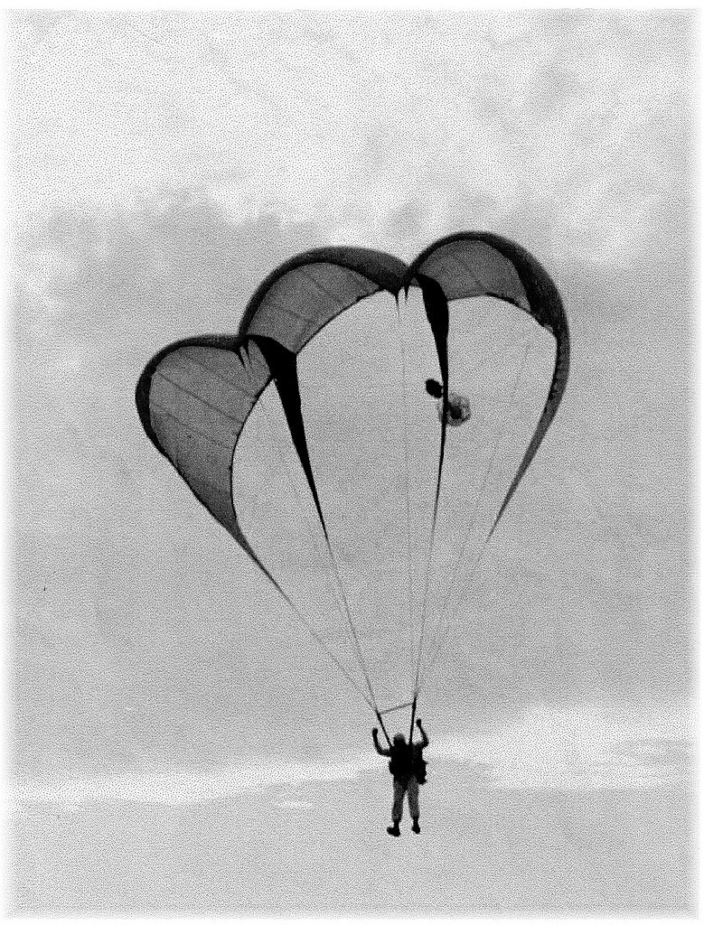 la sailwing in volo